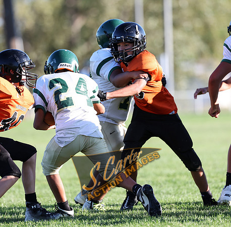 ZMS7FB_SV_R3__0281.jpg
