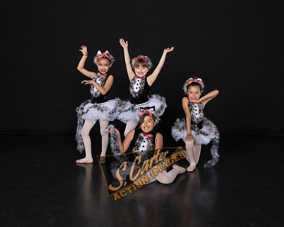 MartinsD2_Ballet1A_IMG_0443.jpg