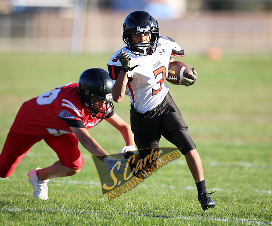 ZMSFB8_WV_R32_1054.jpg