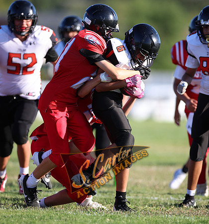 ZMSFB8_WV_R32_0771.jpg