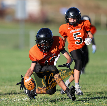 ZMS7FB_SV_R32_0532.jpg