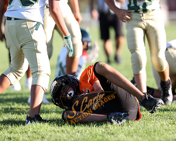 ZMS7FB_SV_R3__0346.jpg