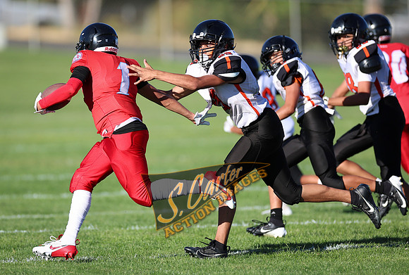 ZMSFB8_WV_R32_0432.jpg