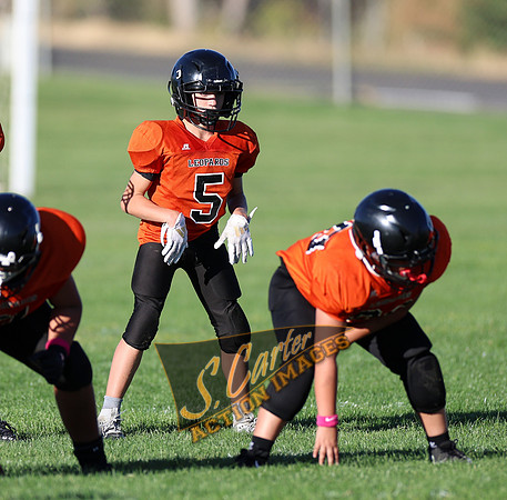ZMS7FB_SV_R32_0337.jpg