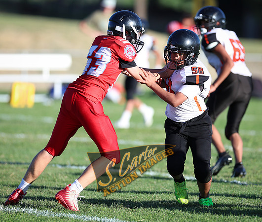 ZMSFB8_WV_R32_1109.jpg