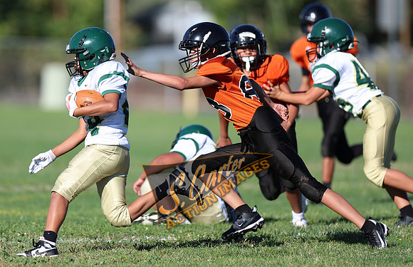 ZMS7FB_SV_R32_0024.jpg