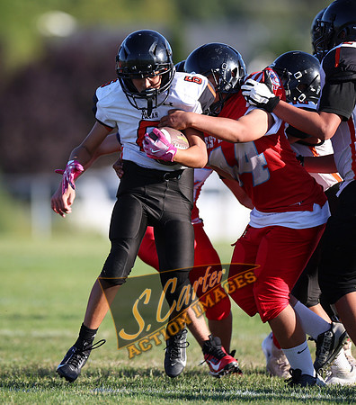 ZMSFB8_WV_R32_0748.jpg