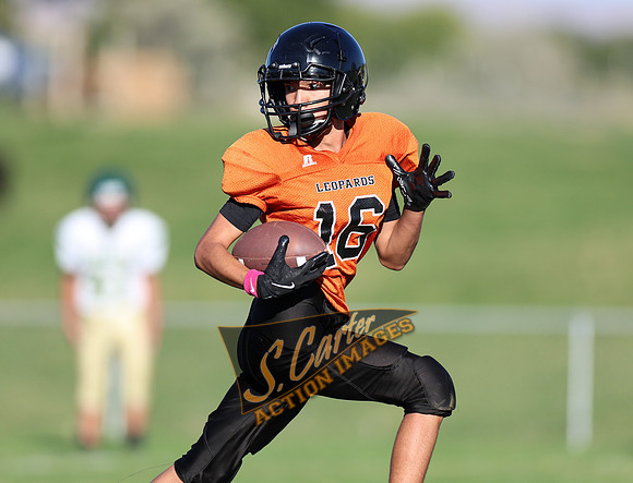 ZMS7FB_SV_R32_0440.jpg