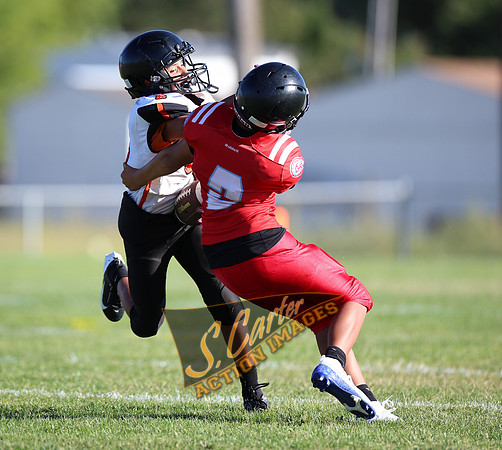ZMSFB8_WV_R32_0305.jpg