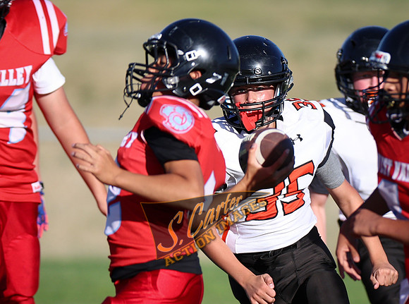 ZMSFB8_WV_R32_0600.jpg