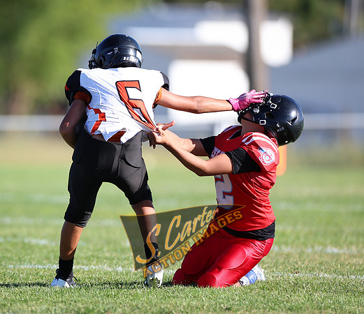 ZMSFB8_WV_R32_0311.jpg