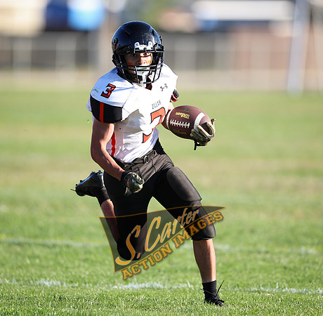 ZMSFB8_WV_R32_1048.jpg