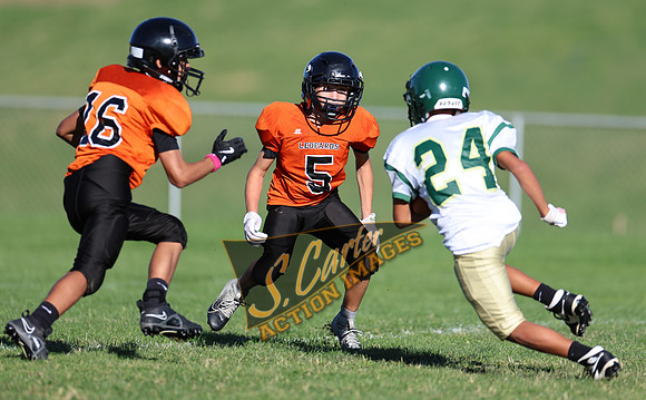 ZMS7FB_SV_R32_0097.jpg