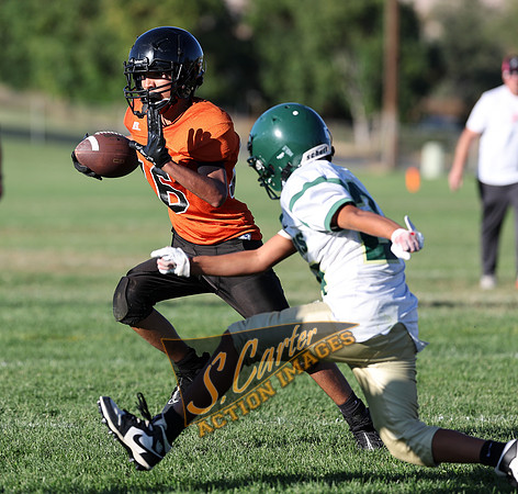 ZMS7FB_SV_R3__0163.jpg