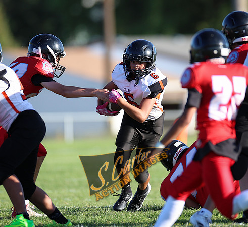 ZMSFB8_WV_R32_0936.jpg