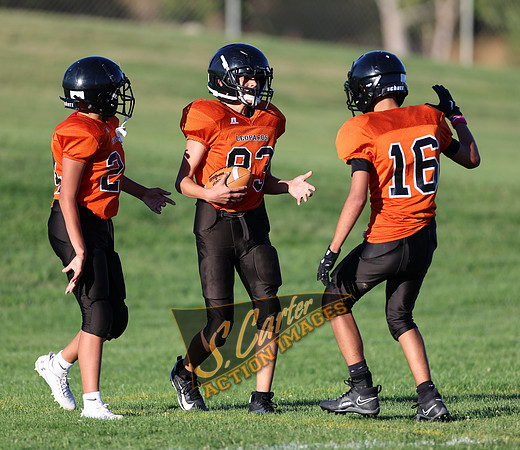 ZMS7FB_SV_R32_0757.jpg