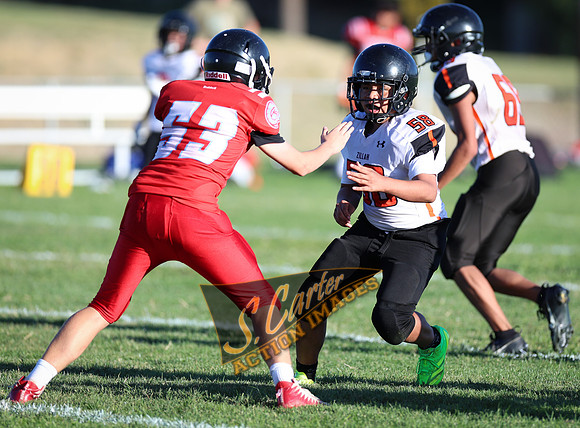 ZMSFB8_WV_R32_1106.jpg