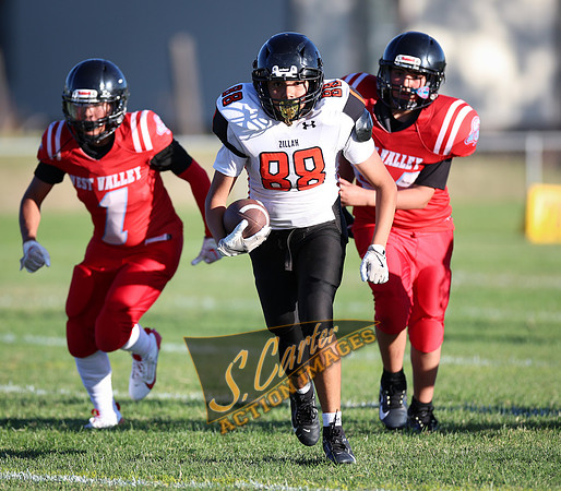 ZMSFB8_WV_R32_1133.jpg