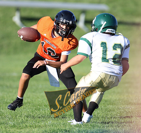 ZMS7FB_SV_R32_0335.jpg