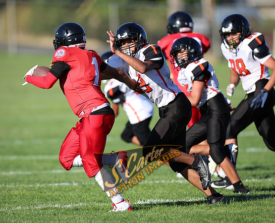ZMSFB8_WV_R32_0430.jpg
