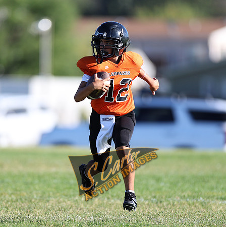 ZMS7FB_SV_R32_0236.jpg