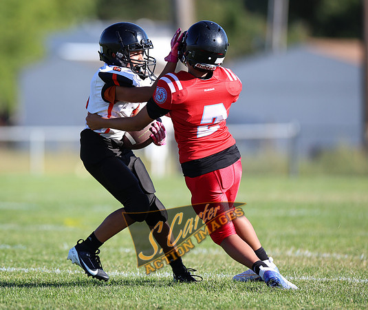 ZMSFB8_WV_R32_0308.jpg