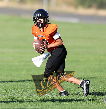 ZMS7FB_SV_R32_0327.jpg