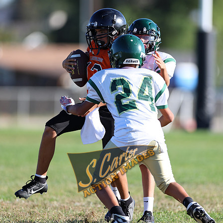 ZMS7FB_SV_R32_0260.jpg