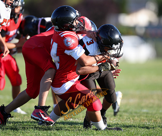 ZMSFB8_WV_R32_0797.jpg