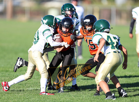 ZMS7FB_SV_R32_0311.jpg