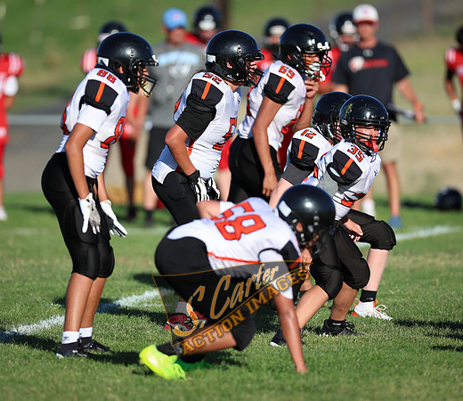 ZMSFB8_WV_R32_0612.jpg
