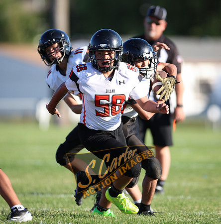 ZMSFB8_WV_R32_0777.jpg