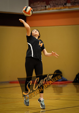 ZMSVB_GView_R3__0185.jpg