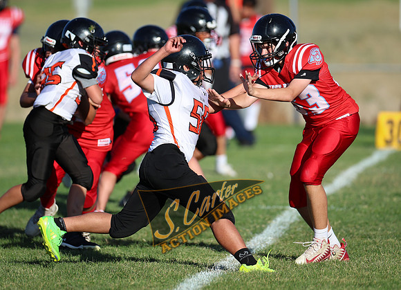 ZMSFB8_WV_R32_0621.jpg