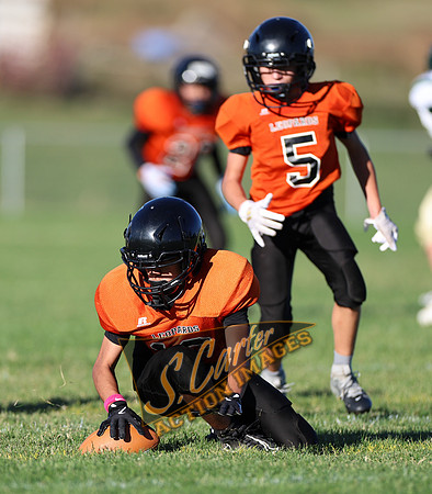 ZMS7FB_SV_R32_0535.jpg