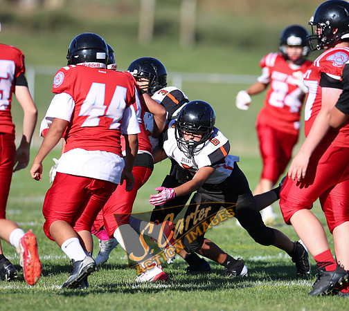 ZMSFB8_WV_R32_0405.jpg