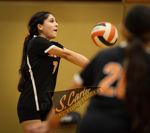 ZMSVB_GView_R3__0323.jpg