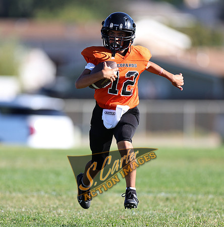 ZMS7FB_SV_R32_0244.jpg