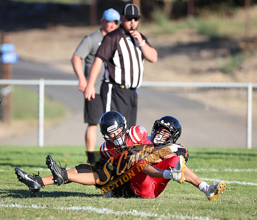 ZMSFB8_WV_R32_1129.jpg