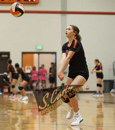 ZMS78VB_R3__0257.jpg