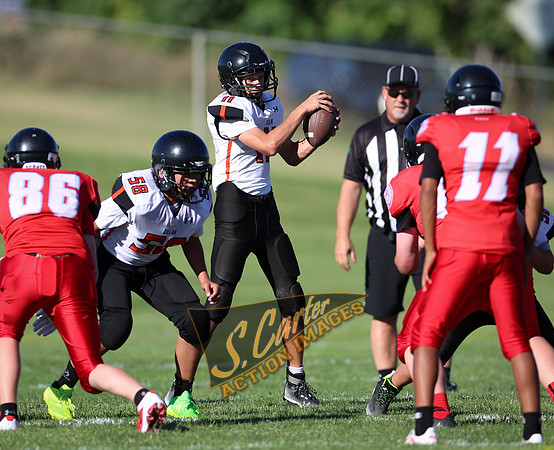 ZMSFB8_WV_R32_0024.jpg
