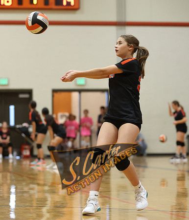 ZMS78VB_R3__0260.jpg