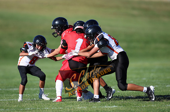 ZMSFB8_WV_R32_0019.jpg