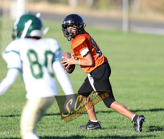 ZMS7FB_SV_R32_0330.jpg