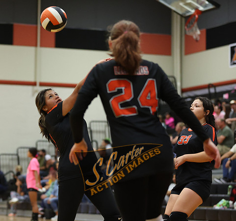 ZMS78VB_R3__0208.jpg