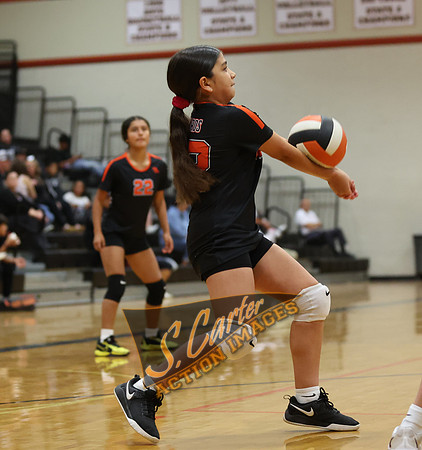 ZMS78VB_R3__0520.jpg