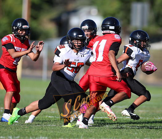 ZMSFB8_WV_R32_0030.jpg