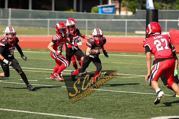 YW6_v_Rams_R3__1072.jpg