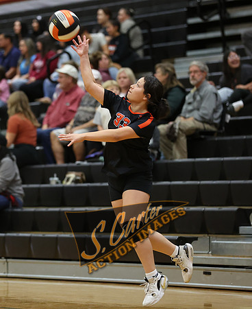 ZMS78VB_R3__0174.jpg