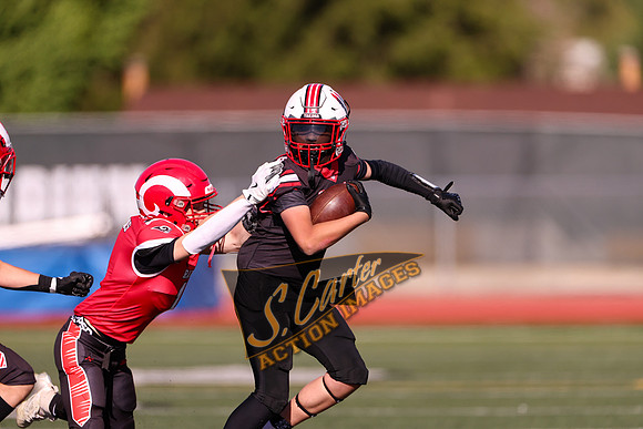 YW78_v_Rams_R32_0129.jpg
